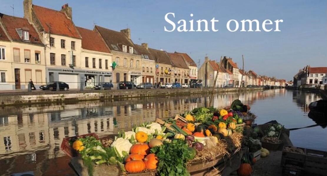 Le Clos Des Glycines Saint-Martin-Lez-Tatinghem Buitenkant foto